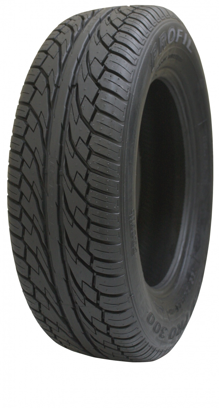 Profil Speed Pro 300 195/65 R15 91H