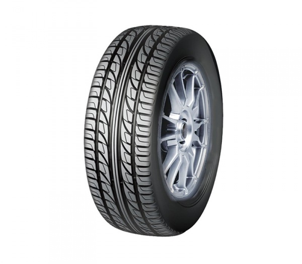 Doublestar DS-810 255/50 R19 107W