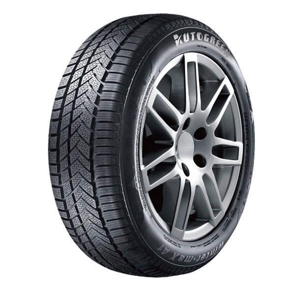 Autogreen Winter-MAX 205/55 R16 91H не шип
