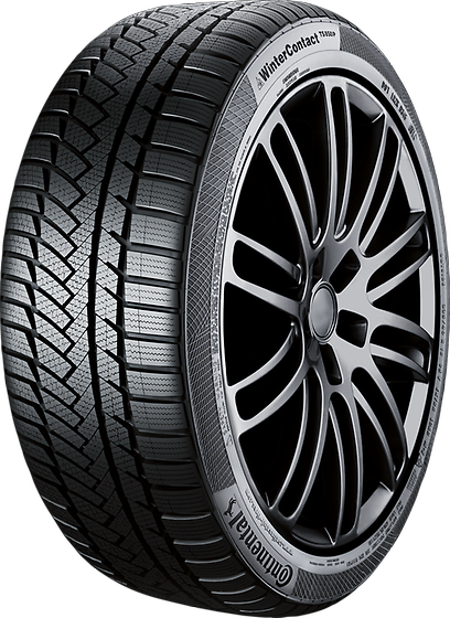 Continental ContiWinterContact TS 850P 225/55 R19 99V не шип
