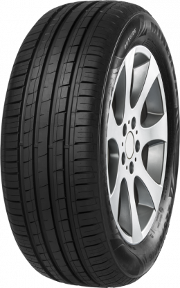 Minerva F209 225/55 R16 99W XL