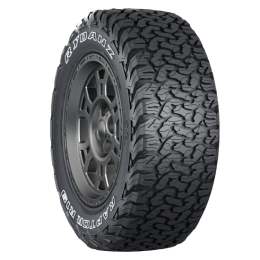 Rydanz Raptor R19 315/70 R17 121/118S OWL 