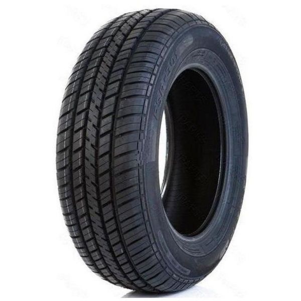 Fortune FSR-301 225/60 R17 99H